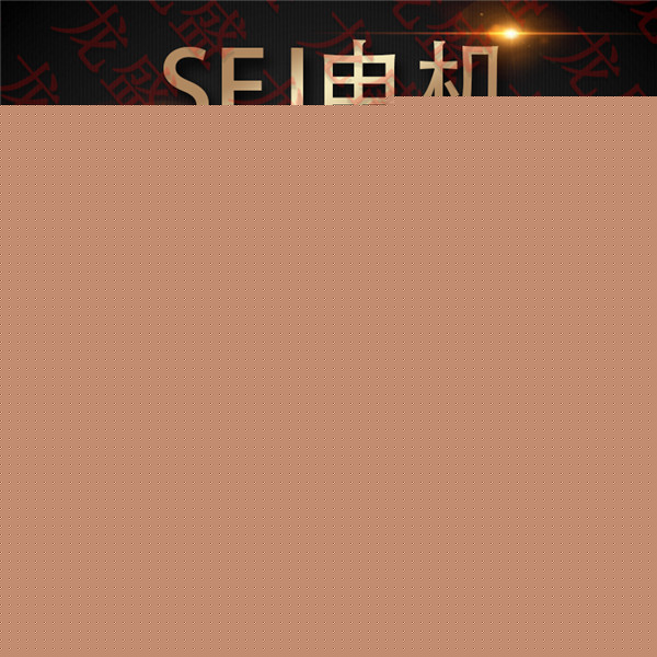 SEJ快速门电机