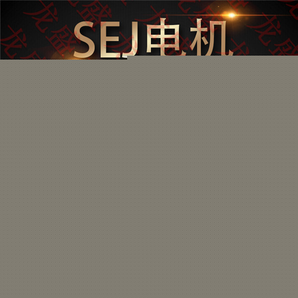 SEJ快速门电机